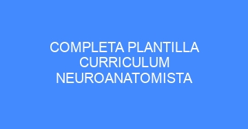mejor completa plantilla curriculum neuroanatomista 922
