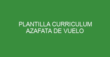 mejor plantilla curriculum azafata de vuelo 992