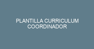 mejor plantilla curriculum coordinador 615
