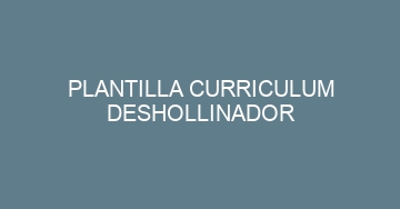 mejor plantilla curriculum deshollinador 757