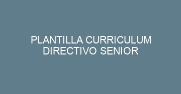 mejor plantilla curriculum directivo senior 1162