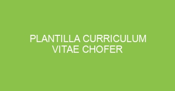 mejor plantilla curriculum vitae chofer 1107