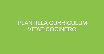 mejor plantilla curriculum vitae cocinero 878