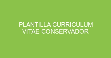 mejor plantilla curriculum vitae conservador 751