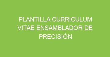 mejor plantilla curriculum vitae ensamblador de precision 1013