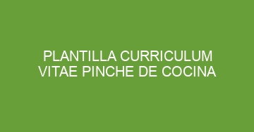 mejor plantilla curriculum vitae pinche de cocina 606