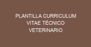 mejor plantilla curriculum vitae tecnico veterinario 646